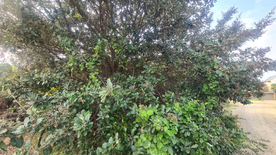 0 Bedroom Property for Sale in Cannon Rocks Eastern Cape